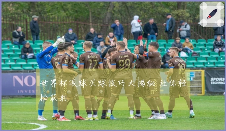 世界杯滚球买球技巧大揭秘 让你轻松获利