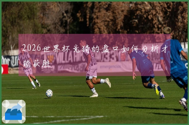 2026世界杯竞猜的盘口如何分析才能获胜